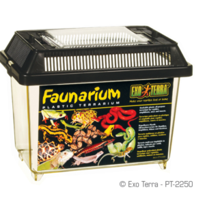 Exo Terra Faunarium - 180 x 110 x 125mm, 7in x 4in x 5in