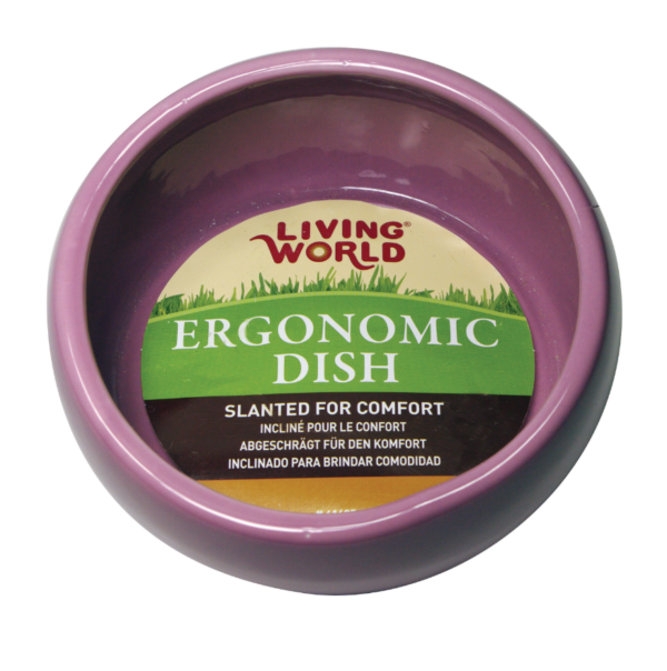 Living World Ergonomic Dish - Small - 120 mL (4.22 oz) - Pink/Ceramic