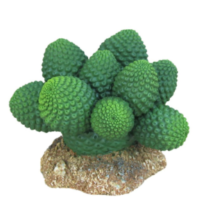 Wecorama Badlands Pointed Sonoran Cactus Terrarium Ornament Brown, Green, 1ea/3 in