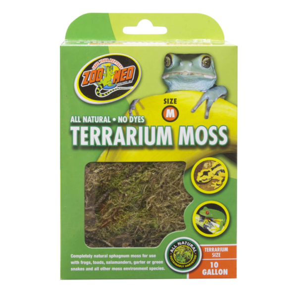 Zoomed Terrarium Moss M