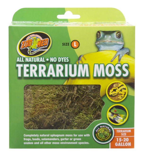 Zoomed Terrarium Moss L