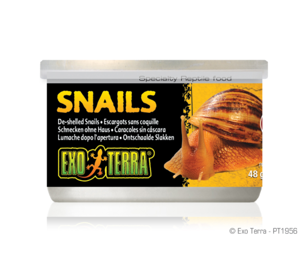 Exo Terra Snails (House free) 1.7oz