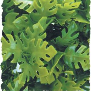 Zoo Med Amazonian Phyllo Bush Plant, Small